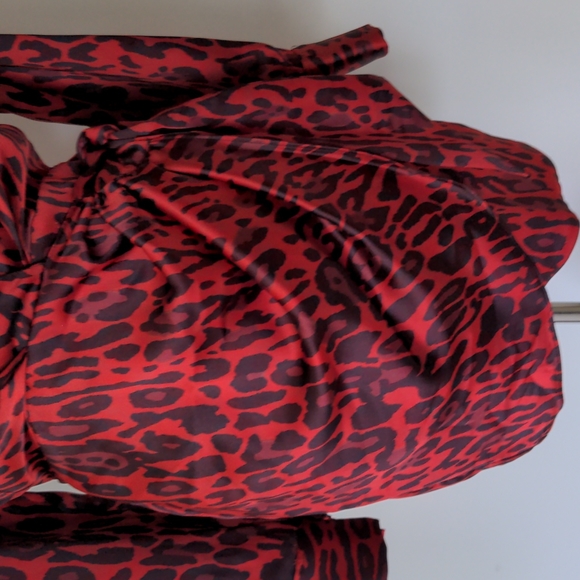 Zara Dress - Picture 8 of 11